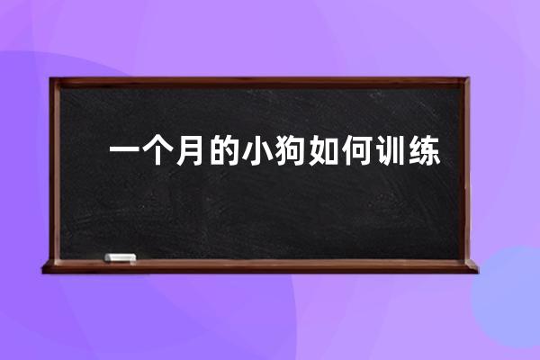 一个月的小狗如何训练(一个月的小狗如何训练他撒尿固定位置)