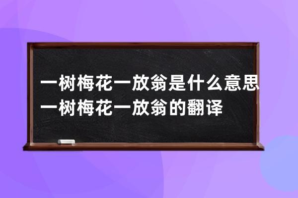 一树梅花一放翁是什么意思 一树梅花一放翁的翻译