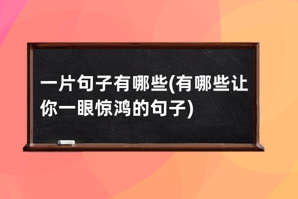 一片句子有哪些(有哪些让你一眼惊鸿的句子)