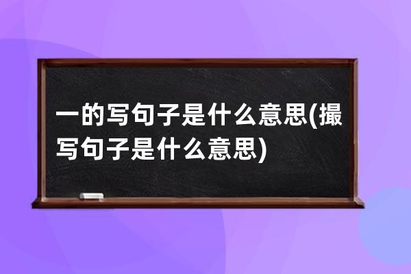 一的写句子是什么意思(撮写句子是什么意思)