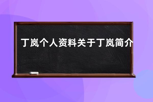 丁岚个人资料 关于丁岚简介