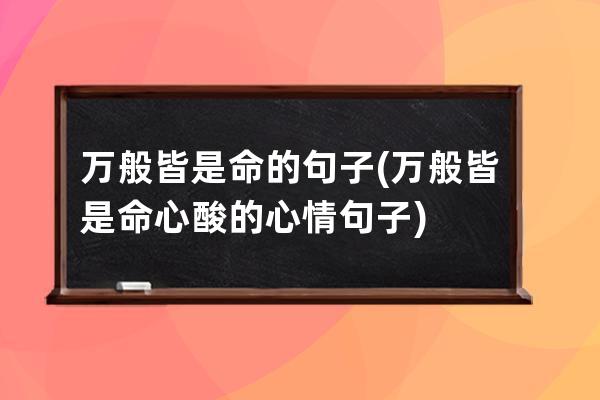 万般皆是命的句子(万般皆是命心酸的心情句子)