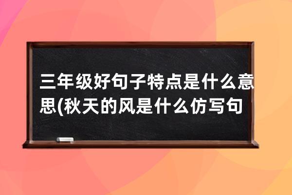 三年级好句子特点是什么意思(秋天的风是什么仿写句子三年级)