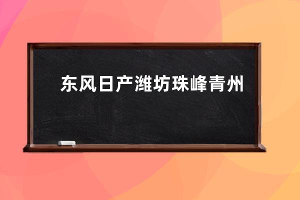 东风日产潍坊珠峰青州专营店怎么样(东风日产潍坊珠峰青江专营店)