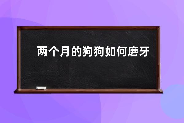 两个月的狗狗如何磨牙(两个月的狗狗怎么驱虫)