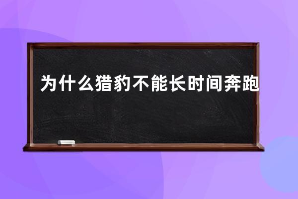 为什么猎豹不能长时间奔跑