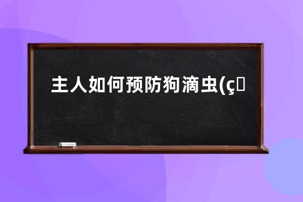 主人如何预防狗滴虫(狗感染滴虫主人可能感染吗)