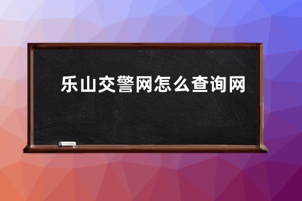 乐山交警网怎么查询网(被交警罚款怎么查询)