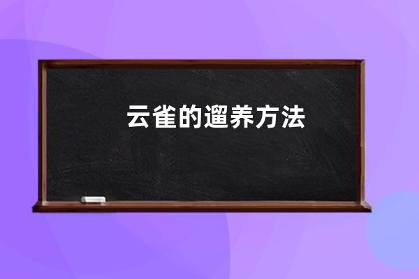 云雀的遛养方法 