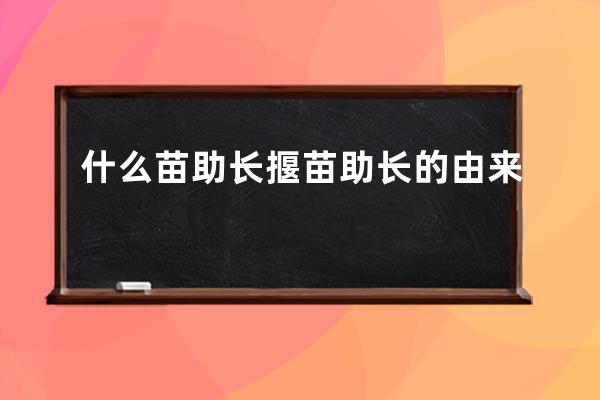 什么苗助长 揠苗助长的由来