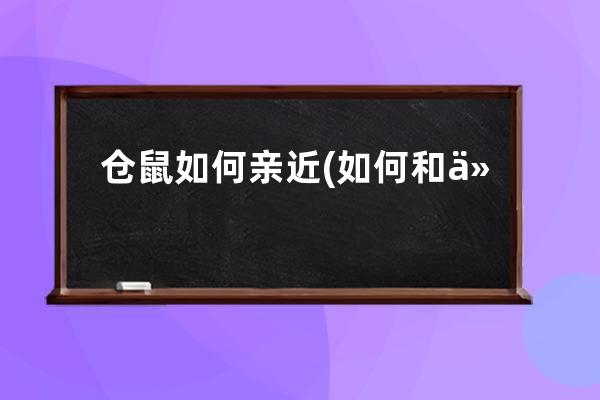 仓鼠如何亲近(如何和仓鼠快速亲近)