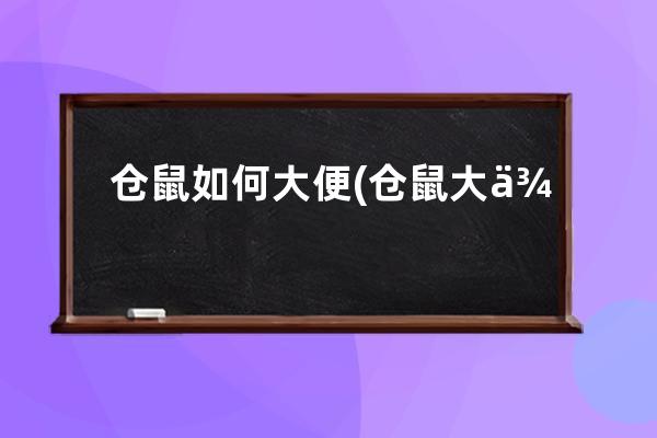 仓鼠如何大便(仓鼠大便有点湿)