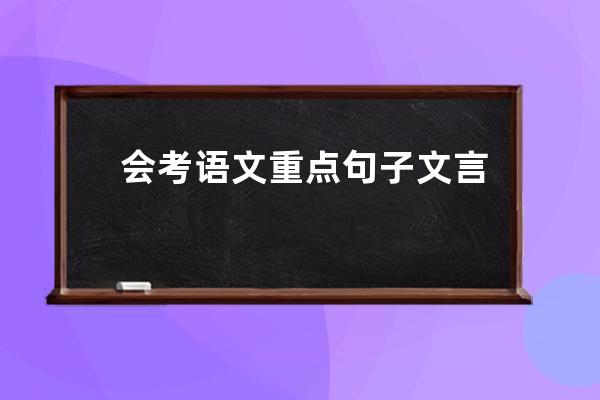 会考语文重点句子文言翻译