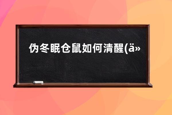 伪冬眠仓鼠如何清醒(仓鼠伪冬眠2天还能活吗)