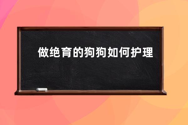 做绝育的狗狗如何护理(公狗狗绝育后护理)