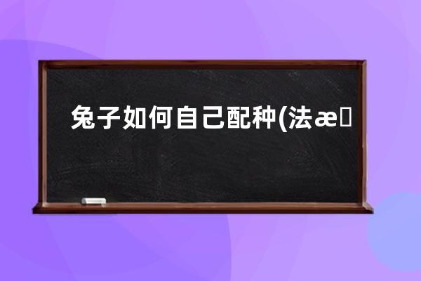 兔子如何自己配种(法斗如何自己配种)