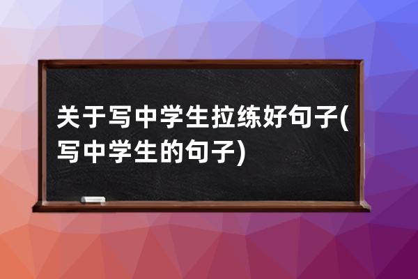 关于写中学生拉练好句子(写中学生的句子)