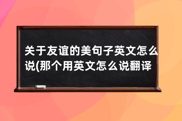 关于友谊的美句子英文怎么说(那个用英文怎么说翻译句子)