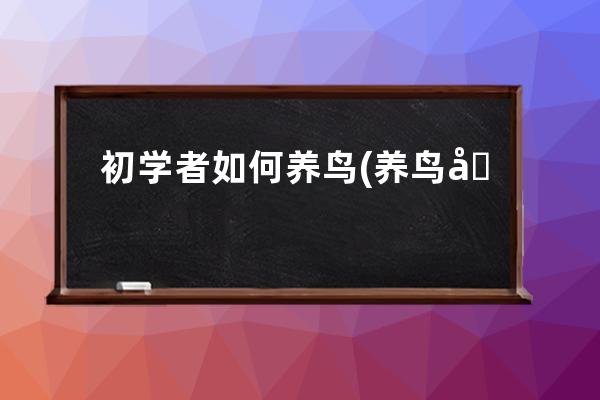 初学者如何养鸟(养鸟初学者该养什么鸟比较好)