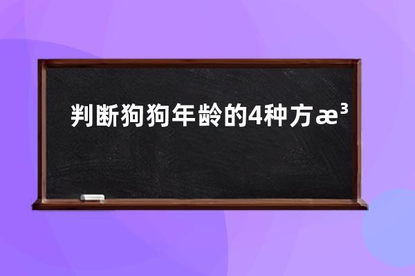 判断狗狗年龄的4种方法 