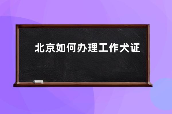 北京如何办理工作犬证(工作犬证去哪里办理)