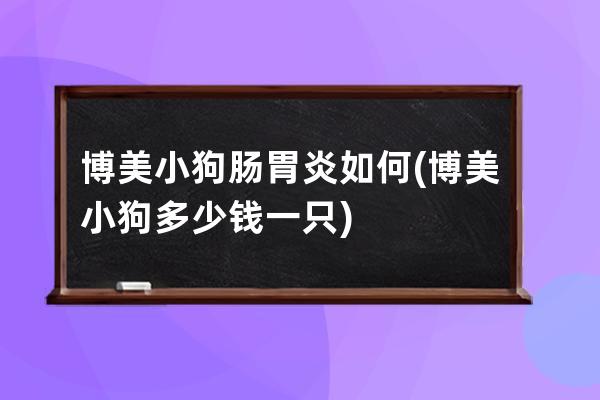 博美小狗肠胃炎如何(博美小狗多少钱一只)