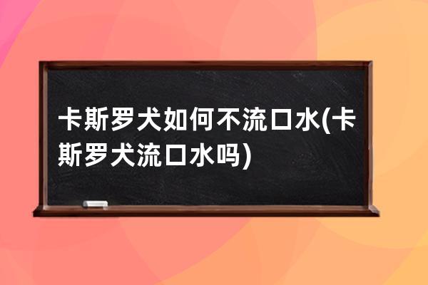 卡斯罗犬如何不流口水(卡斯罗犬流口水吗)