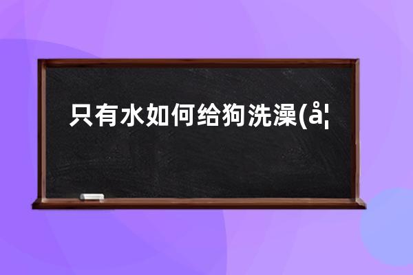 只有水如何给狗洗澡(如何自己给狗洗澡)