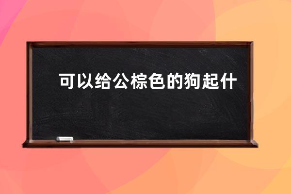 可以给公棕色的狗起什么名字最合适? 