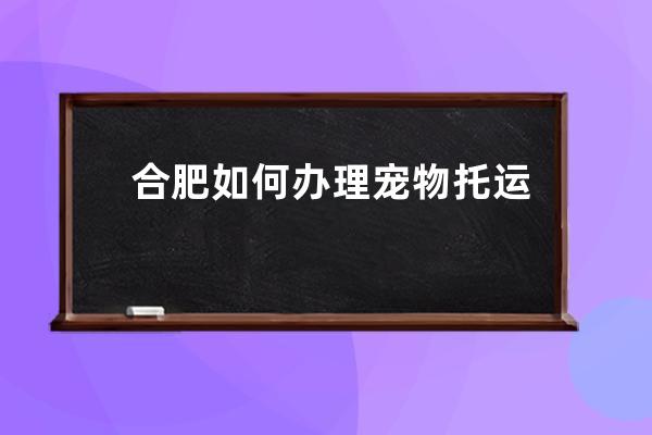 合肥如何办理宠物托运(合肥爱心宠物托运)