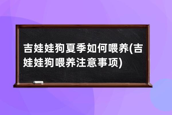 吉娃娃狗夏季如何喂养(吉娃娃狗喂养注意事项)