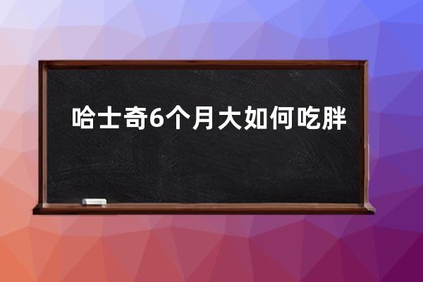 哈士奇6个月大如何吃胖