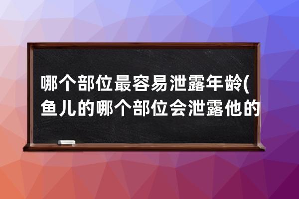 哪个部位最容易泄露年龄(鱼儿的哪个部位会泄露他的年龄)