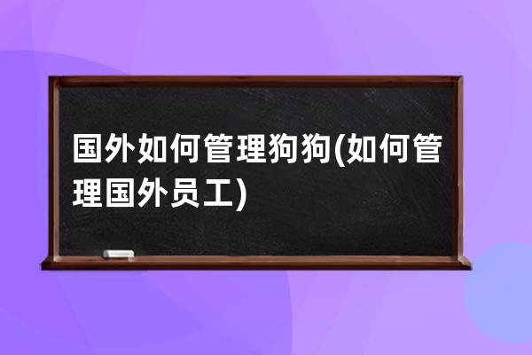 国外如何管理狗狗(如何管理国外员工)