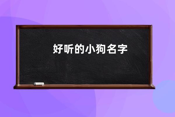 好听的小狗名字 