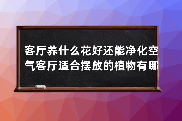 客厅养什么花好还能净化空气 客厅适合摆放的植物有哪些 