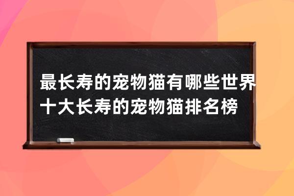 最长寿的宠物猫有哪些 世界十大长寿的宠物猫排名榜 