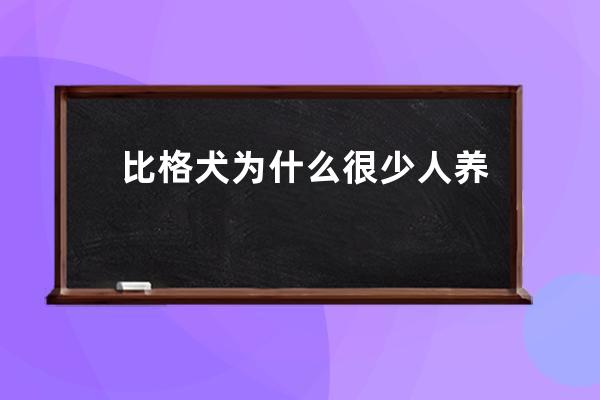 比格犬为什么很少人养 