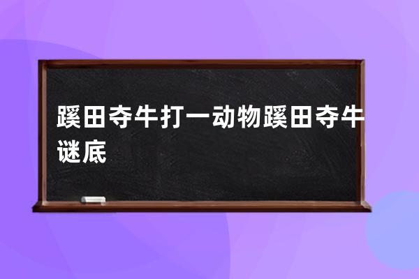 蹊田夺牛打一动物 蹊田夺牛谜底