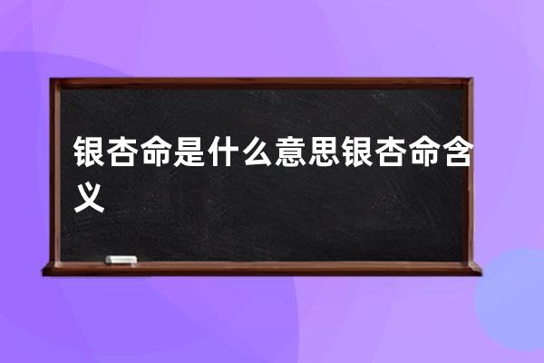 银杏命是什么意思 银杏命含义