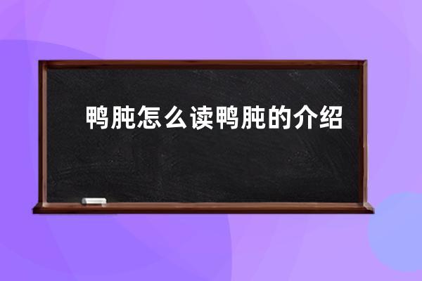 鸭肫怎么读 鸭肫的介绍