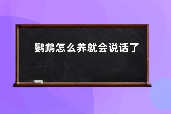 鹦鹉怎么养就会说话了 