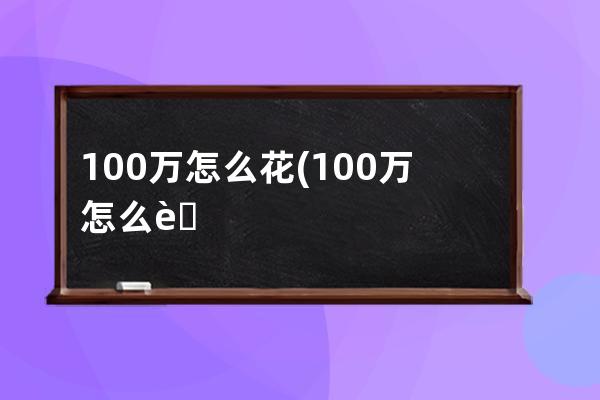 100万怎么花(100万怎么花一辈子)