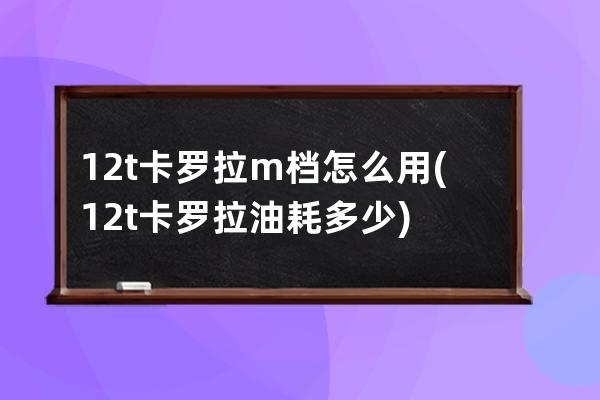 12t卡罗拉m档怎么用(12t卡罗拉油耗多少)