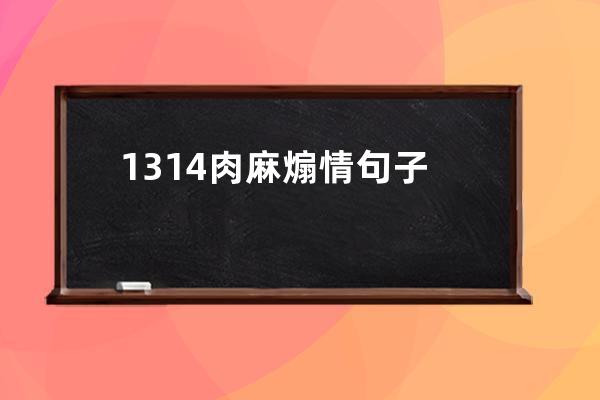 1314肉麻煽情句子