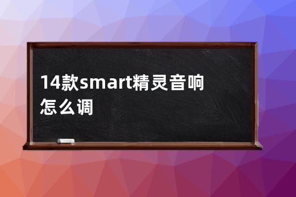 14款smart精灵音响怎么调