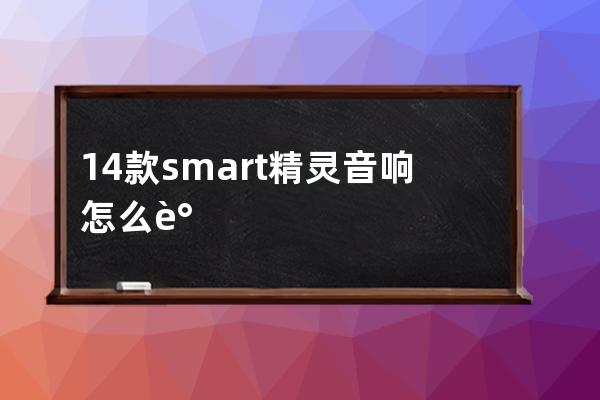 14款smart精灵音响怎么调