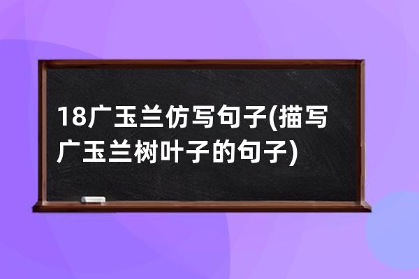 18广玉兰仿写句子(描写广玉兰树叶子的句子)