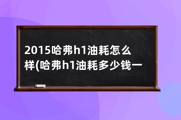 2015哈弗h1油耗怎么样(哈弗h1油耗多少钱一公里)