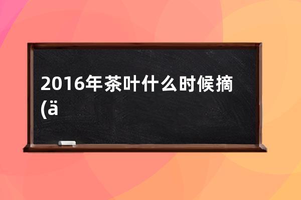 2016年茶叶什么时候摘(一般什么时候摘茶叶)